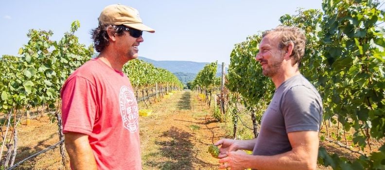 Winemaker Matthieu Finot and Vineyard Manager Carrington King, talking about harvest