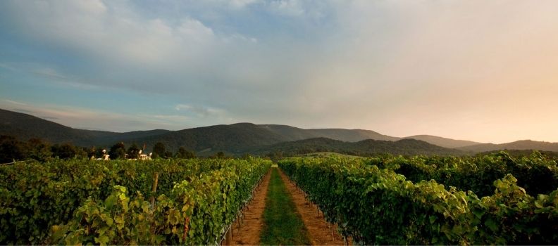 Beautiful Monticello AVA -  King Family Vineyards