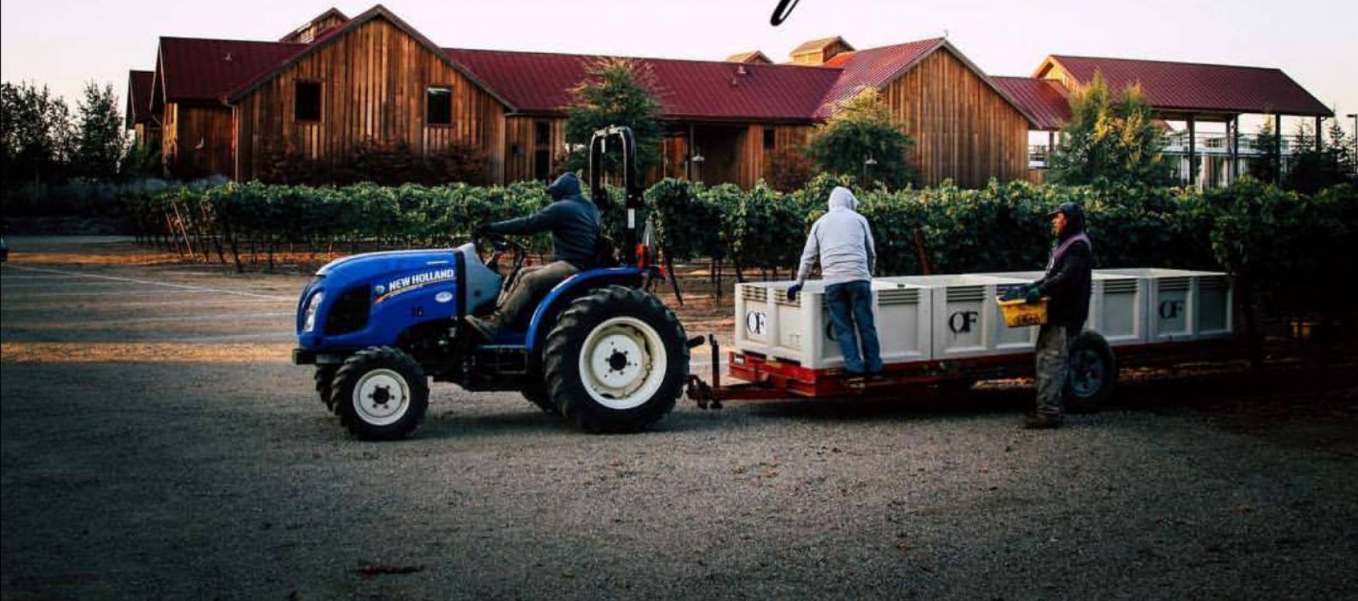 Photo for: Oak Farm - Vineyard in the Heart of Lodi Wine Country
