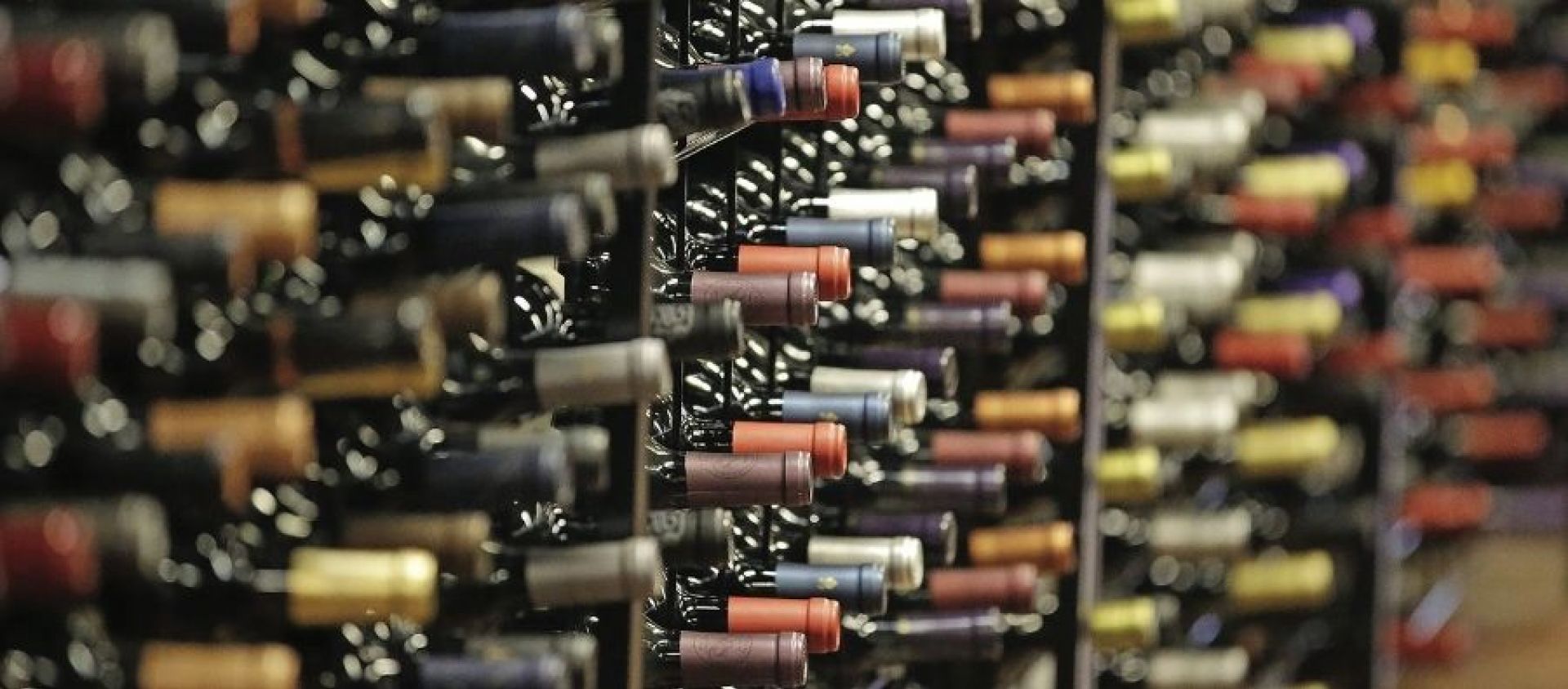 Photo for: Challenges Faced By Importers And Distributors In The First Year Of Business