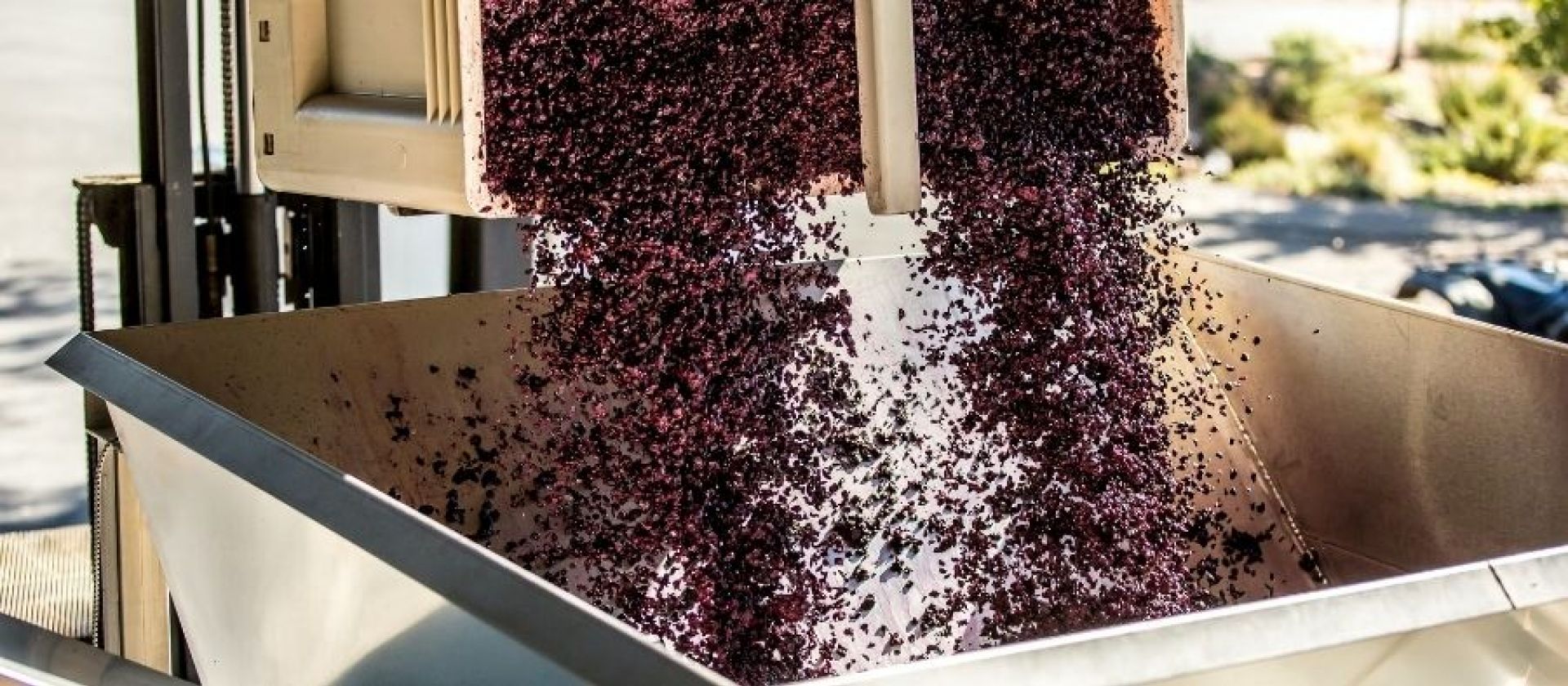 Photo for: All About A major Russian Winery - Fanagoria Estate