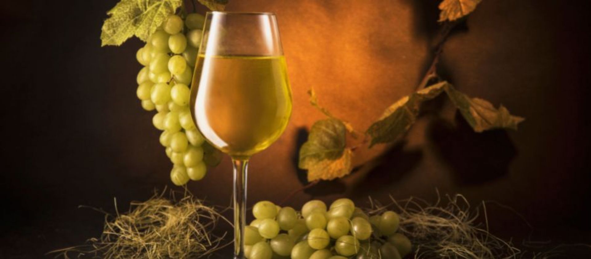 Photo for: The Wine Consumer Culture in the US