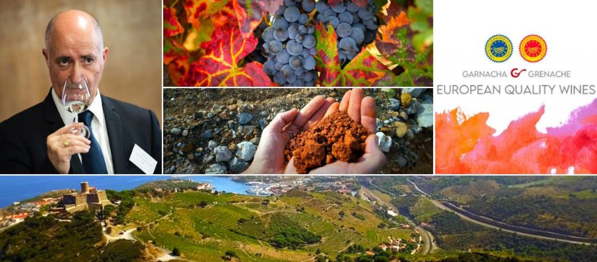 Photo for: European Garnacha/Grenache Quality Wines Masterclass Coming To USATT Chicago