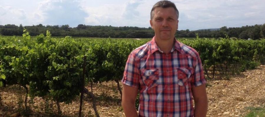 Photo for: SARL SADEL – Family Run Wine Business from France