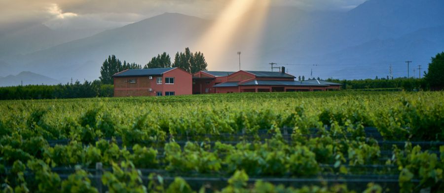 Photo for: Finca Adelma - Wines from Mendoza, Argentina