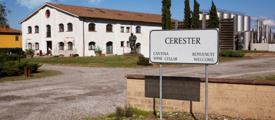 Photo for: Cerester – A Winery That Combines Tradition & Modernity