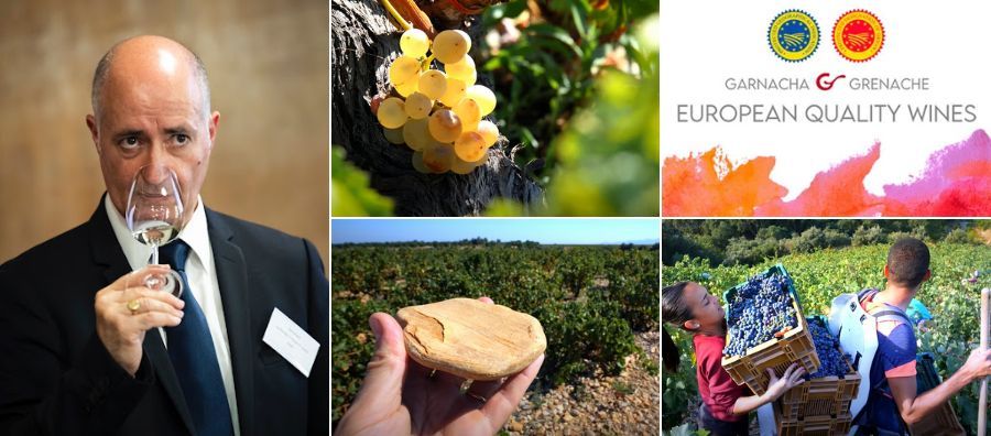 Photo for: USATT To Host European Garnacha/ Grenache Quality Wines Masterclass