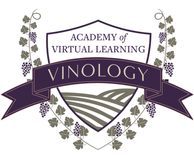 Logo for:  The Academy of Virtual Learning