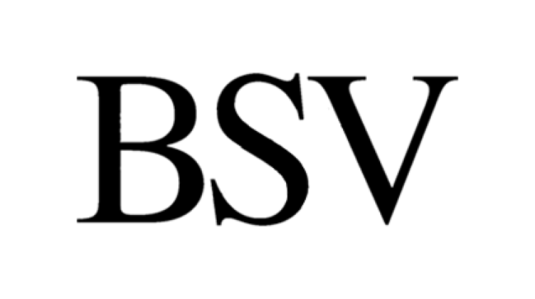 Logo for:  Bodegas San Valero 