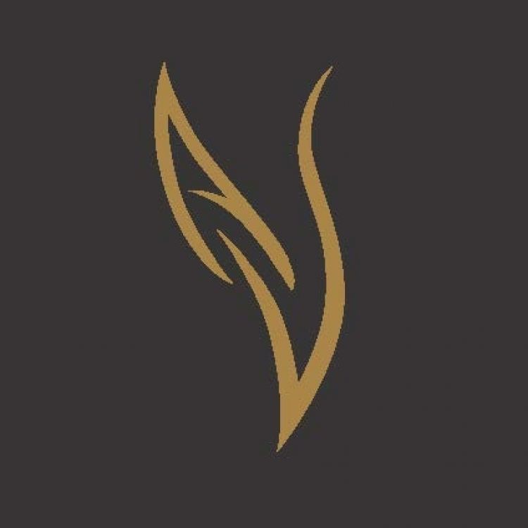 Logo for:  Amoon Spirits LLC
